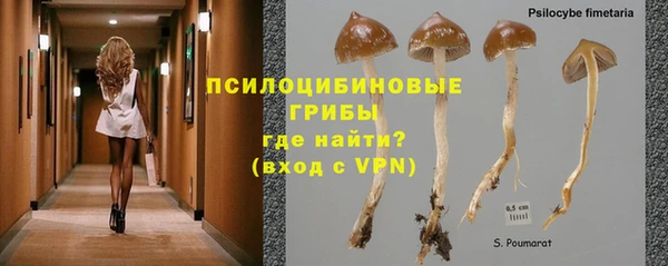 гидропоника Богородицк