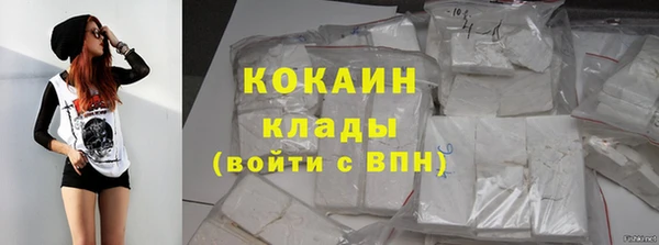 дживик Богданович