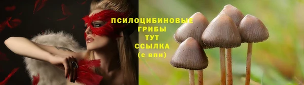 дживик Богданович
