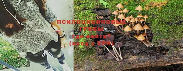 гидропоника Богородицк